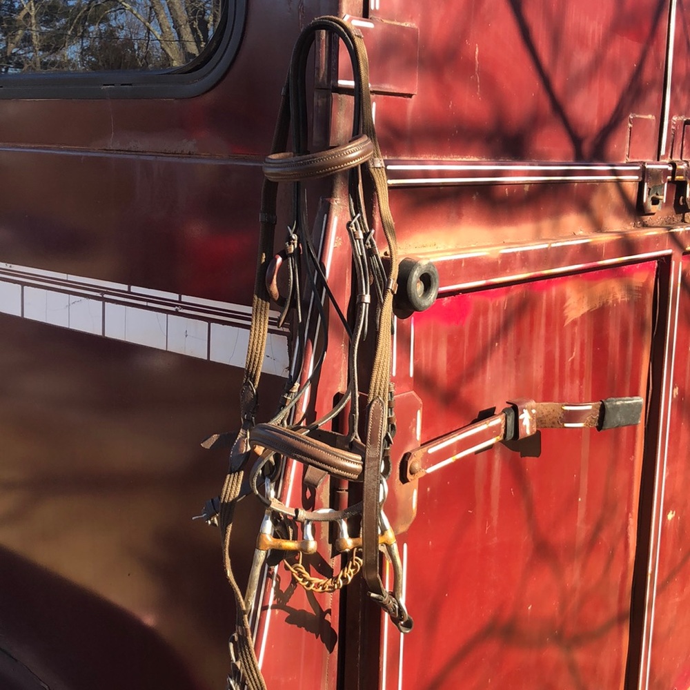 Brown English bridle